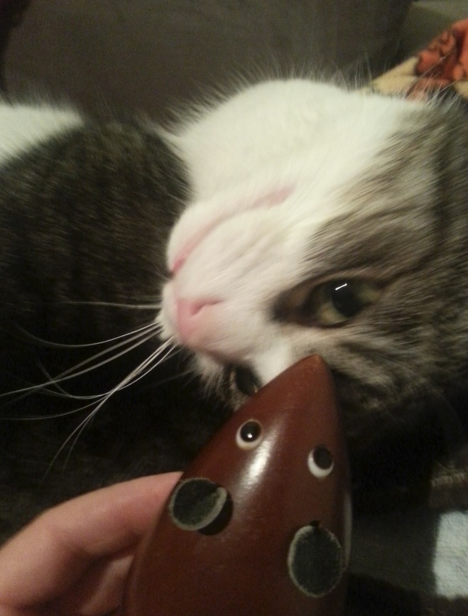 Mr Cat and wooden mouse